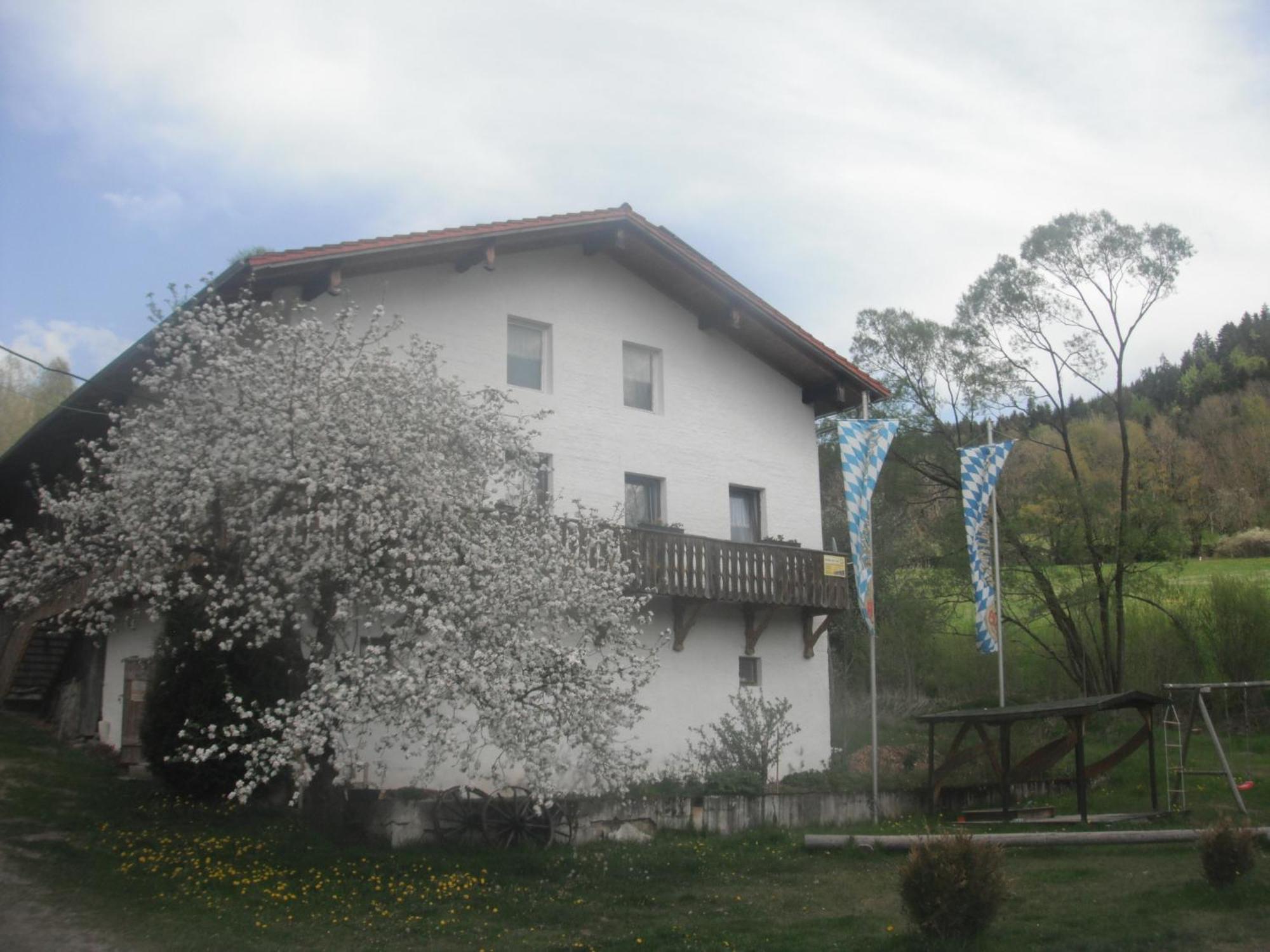 Gasthaus Zehrermuehle Schonberg  Exterior photo